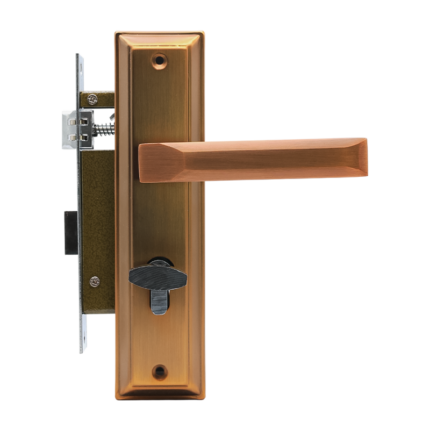 Բռնակ մեխանիզմով APS 5801-01 BB (10825)